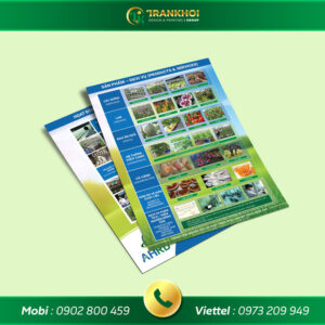 tờ rơi trái cây