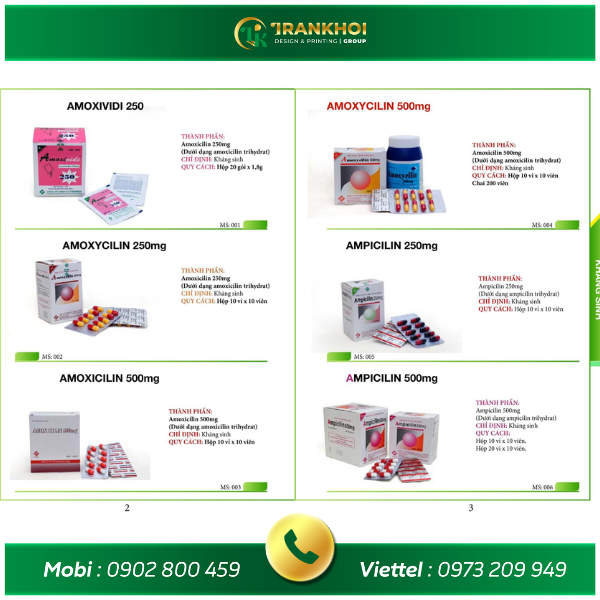 catalog nhà thuốc